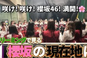 【櫻坂46】ストリーミング重視で見る、櫻坂46の現在地