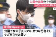 【ドン引き】慶応大学3年生の男さん、8歳の女児にみだらな行為をして逮捕される　事前に公園を下見して死角になる遊具に連れ込む
