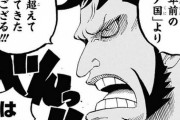 【悲報】ワンピースワノ国編、既に75話を消費してしまうｗｗｗｗｗ