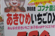 【悲報】椎名法子さん、いちごまつりに駆り出されてしまう