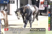 【朗報】「セッテイロク」という期待値の塊みたいな名前の馬がデビューｗｗｗｗｗｗｗｗｗｗ