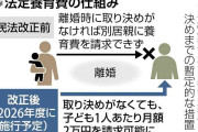 「法定養育費」子ども１人あたり月２万円決定…来年４月以降の離婚が対象