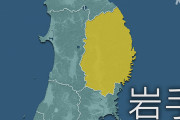 【速報】岩手+2　全都道府県でコロナ感染確認