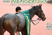 11/21(日) 第38回マイルチャンピオンシップ part4