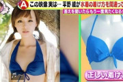 【画像】平野綾(35)さん、一周回って即ハボ美女へ