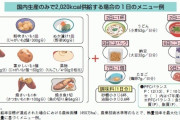 【悲報】日本国民、もうすぐこんな食事しかできなくなる……