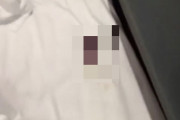 【激ヤバ】中国のとあるホテルで枕の下から謎の鳴き声 → めくってみると・・・うわあああああ！！！