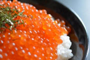 イクラとかいう何が美味いのか誰も言語化出来ないくせにありがたがられてる食材