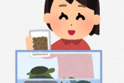 カメ「長生きです、静かです、くさくないです」←コイツをペットにしない理由