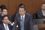 【G20で新型コロナ話題】麻生財務相「船籍はイギリス、船長も...イギリスは何一つ公式に発言せず。元々責任はお前らじゃないのって腹ん中で...」（国会動画）