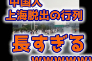 【動画】中国人の上海脱出の行列が長すぎてヤバイｗ