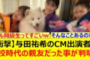 【衝撃】与田祐希のCM出演者が高校時代の親友だった事が判明!!【乃木坂46・乃木坂配信中・乃木坂工事中】