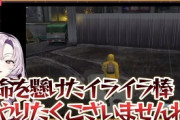 おじさん「サロメ嬢は電撃イライラ棒知ってるから30代！」←10代の自分でもそんなの知ってると非難殺到