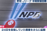 プロ野球とJリーグの開催は「国民一人一人の努力にかかってくる」　専門家チームが呼びかけ