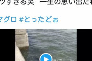 【画像】陽キャ「マグロ手掴みした笑　一生の思い出」陰さん「あのーそれ勝手に捕まえていいんですか(ﾆﾁｬｱ…」