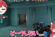 【VTuber】ボドカ「かるびそれピークしたら狙われるかも」かるび「おっけ…ピークしない…」→5秒後ピークして無事死亡【VALORANT】