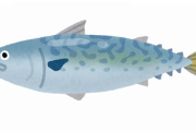 サバとかいう魚、ガチでうまい