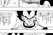 【悲報】ベジータさん、余りにも独り言が多すぎる