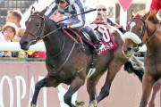 【凱旋門賞】10番人気の現地馬ソフトライト＆武豊さん、日本馬3頭に先着ｗ