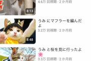 【悲報】海で猫を拾った系YouTuber、4月21日を最後に更新が止まる