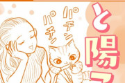 漫画「トラと陽子」第1巻予約開始！5人のおねいさんと5匹のねこたちの、にゃいす・エブリデイ