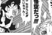 【悲報】ドラゴンボール人気投票  孫悟飯6位だった結果ｗｗｗｗｗ