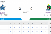 【試合結果】ヤクルト0-3横浜DeNA　ヤフーレ6回2失点 平良に完封負け