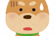 【悲報】うちの犬が年取ってはしゃがなくなった……