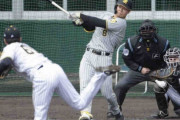 阪神・佐藤輝「しっかり打てて良かった」　豪快に右翼へライナー弾