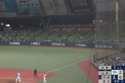 【悲報】プロ野球、マジで観客が激減してしまう…