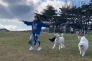 【乃木坂46】北野日奈子×犬たち 微笑ましすぎるドッグランの様子.動画