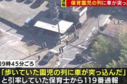 【悲報】74歳の男、保育園児38人の列に突っ込む、10名の園児が病院に搬送