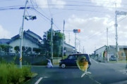 【島根】信号無視の自転車が軽自動車にはねられ10メートル近く飛ばされてしまう(ﾟoﾟ)