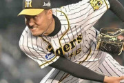 阪神・秋山が８回３安打１失点の快投で４勝目　強打のロッテをねじ伏せる