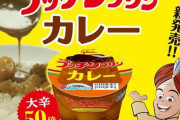 カレーと米←合う　カレーとパン←合う