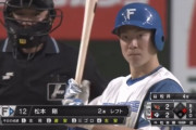 日ハム松本剛（首位打者・最多安打・盗塁王）