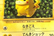 【画像】昔のボロボロのポケモンカード、とんでもない値段で売れてしまう（お前らの想像の3倍はボロボロ）