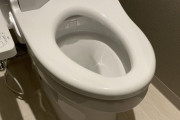 【謎】職場に女性は私一人なので、女子トイレを使いのも私一人。普段トイレのふたを閉めて出てくるんだけど、今日は何故かトイレの蓋は空いてて違和感が…
