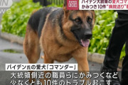バイデン大統領の愛犬「コマンダー」がシークレットサービスにかみつき病院送りに！