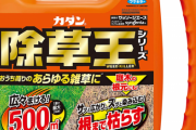 「ウチにも除草剤まいてくれ」ビッグモーターへのいたずら電話多発