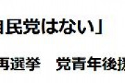 【しんぶん赤旗】若者「日本政府を変えるために選挙に行くべき」「自民党はない」