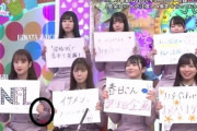 【日向坂46】ひなあいフリップが欲しいｗｗｗｗｗｗｗｗｗｗｗ