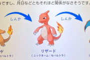 【なるほど】ポケモン化石博物館が教える「しんか」と「進化」の違い　こういう違いだったのか
