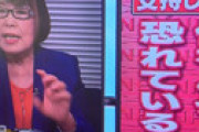 【画像】 田嶋陽子さん、「外国人の土地購入禁止」に１人だけ反対 「何を恐れてるの？」