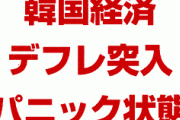 韓国経済がデフレ突入でパニック状態！　文在寅「政策の方向性は正しい」　終わってるな…