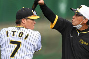 阪神糸井嘉男フリー打撃６発柵越え！藤井コーチ「30発は打てるんじゃないかな」超人パワー絶賛