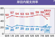 【NHK世論調査】岸田内閣支持率が前回より13P減の46％で内閣発足後最低に 旧統一教会と政治との関係について「説明が足りない」が82％★2  [ラッコ★]