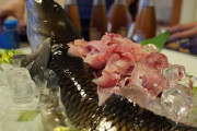なんで川魚のお刺身はあまり美味しくないの