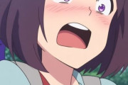 【ウマ娘】脱衣MODに対する海外の反応まとめ