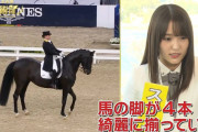 さすが馬術スペシャルアンバサダー！櫻坂46菅井友香、馬場馬術競技の注目ポイントを解説【お台場馬術部】